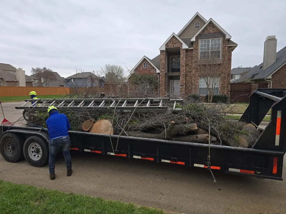 Expert Tree Fertilization with proper safety equipment in Stanfield